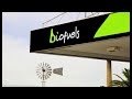 Debate: the pros and cons of biofuels