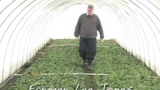 The Chef's Garden - First Snowfall