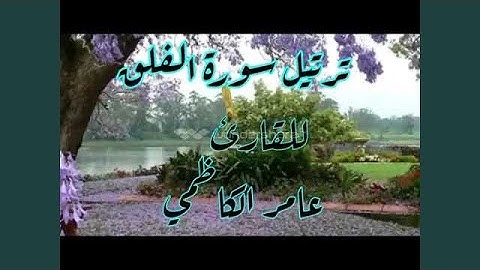 عامر الكاظمي سورة الفلق
