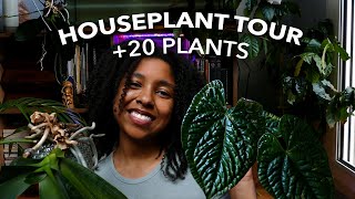 houseplant tour collection 2024