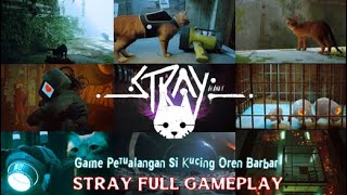 Main Game Stray Sampai Tamat STRAY FULL GAMEPLAY 100% INDONESIA, screenshot 1