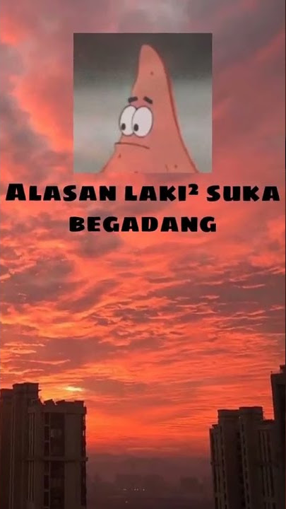 story wa keren alasan laki-laki suka begadang