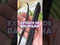 Como fazer Extrato de Baunilha (barato!)