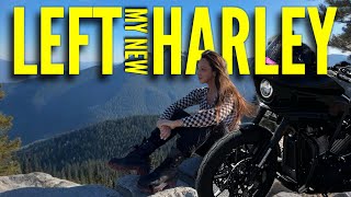 LEFT my new HARLEY in SEATTLE new cruiser with Sailing Doodles