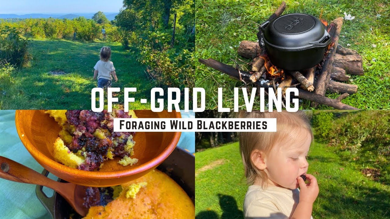 Living Off Grid in the Appalachian Mountains of Virginia | VLOG - YouTube - Off-Grid Living In The Mountains