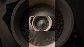 Could Plants Mine Nickel From City Soil