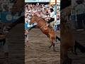 JINETEADA DE LUCIANO ROJAS EN JESÚS MARÍA 2025 |BASTOS Y ENCIMERA| #caballos #horse #tradiciones