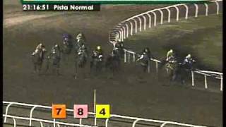 Reunion N°113 Fecha 14/12/2011, Carrera N�14