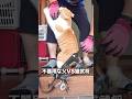 親ガチャ失敗⁉︎父にガチギレな猫 #元野良猫チャチャ #猫武将 #ねこ #推し猫グランプリ #ショーワグローブ