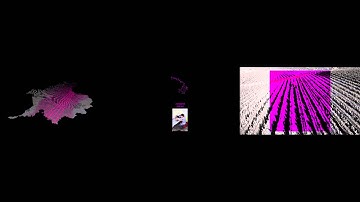 Vineyards: a molecular choreography