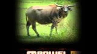 Dj Rowel do you remember dj rowel remix alven 25@yahoo com