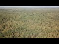 Ukraine Forests in Kovel - Drone shots from the air