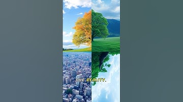 Living in a Simulation? Unveiling the Truth! #facts #quantumuniverse #simulation  #quantumphysics