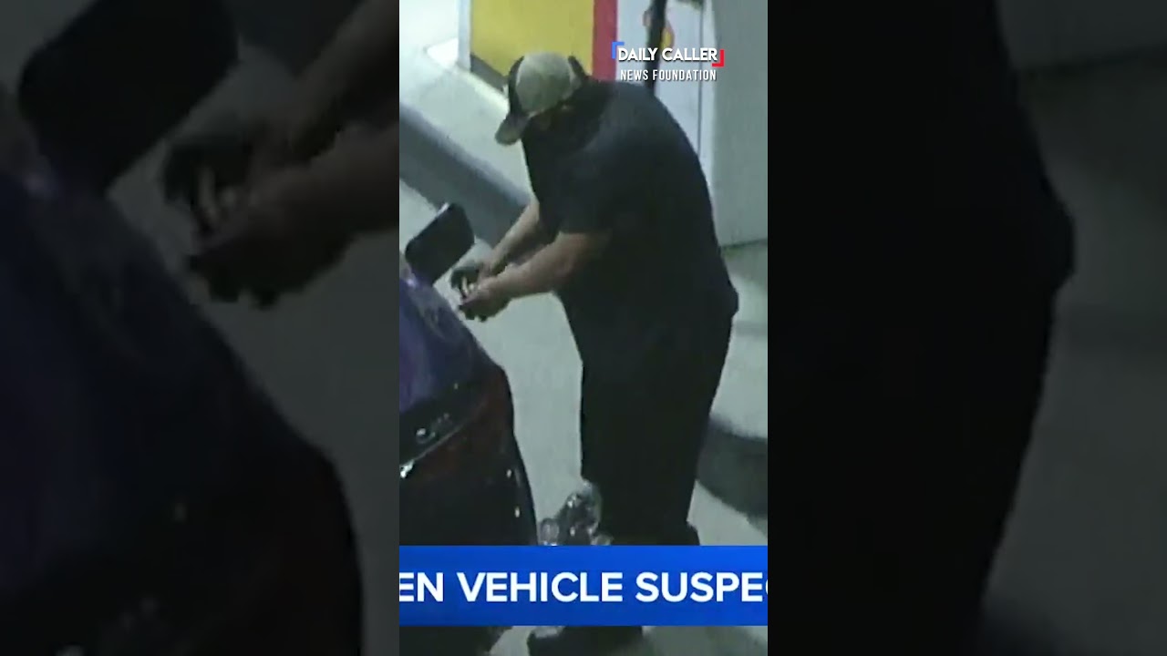 Car-chase criminal stops for gas and STILL gets away...