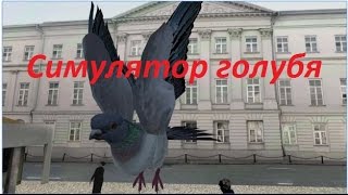 Симулятор голубя 3D Simulator of Dove (gameplay video on Android) screenshot 3