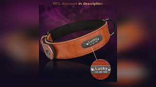 #8 Colors Personalized Dog Collar Leather Pet Products for Dogs Accessories Pitbull Pet Collar Pe