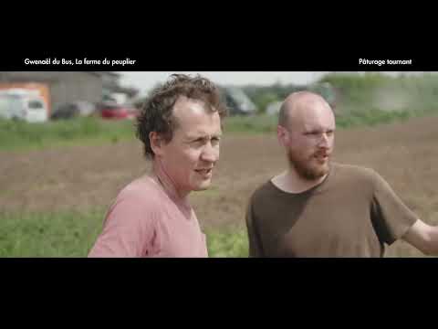 Les alternatives aux pesticides en pommes de terre et légumes plein champ