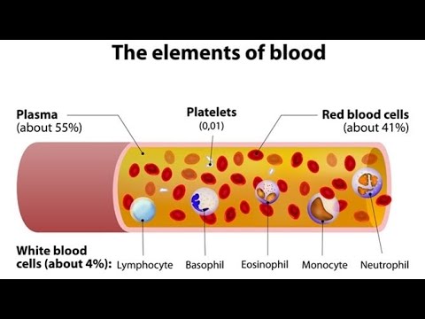 Intro to Blood and Plasma Protein