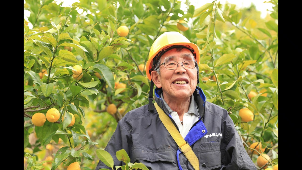瀬戸内レモン まざぁーずうぉーむ株式会社 良質な瀬戸内レモンをお届け