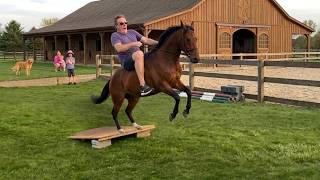 WHEN EVERYTHING GOES TERRIBLY WRONG 😂 | Ultimate Funny Fails & Epic Mishaps Compilatio