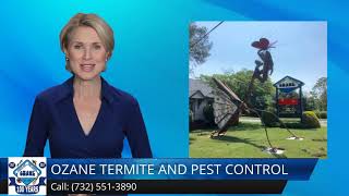 Termite Control North Middletown NJ 5 Star Review Ozane.com