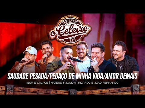 SAUDADE PESADA/PEDAÇO DE