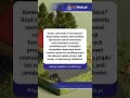 Masz fotowoltaikę? Te przepisy mogą Ci się nie spodobać