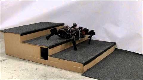 SCALE Bot: Stair Climbing Autonomous LEgged roBot (UMD Robotics): Version1