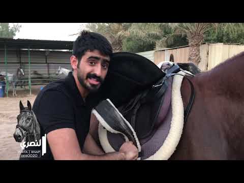 مستلزمات الخيل وطريقة تركيبها