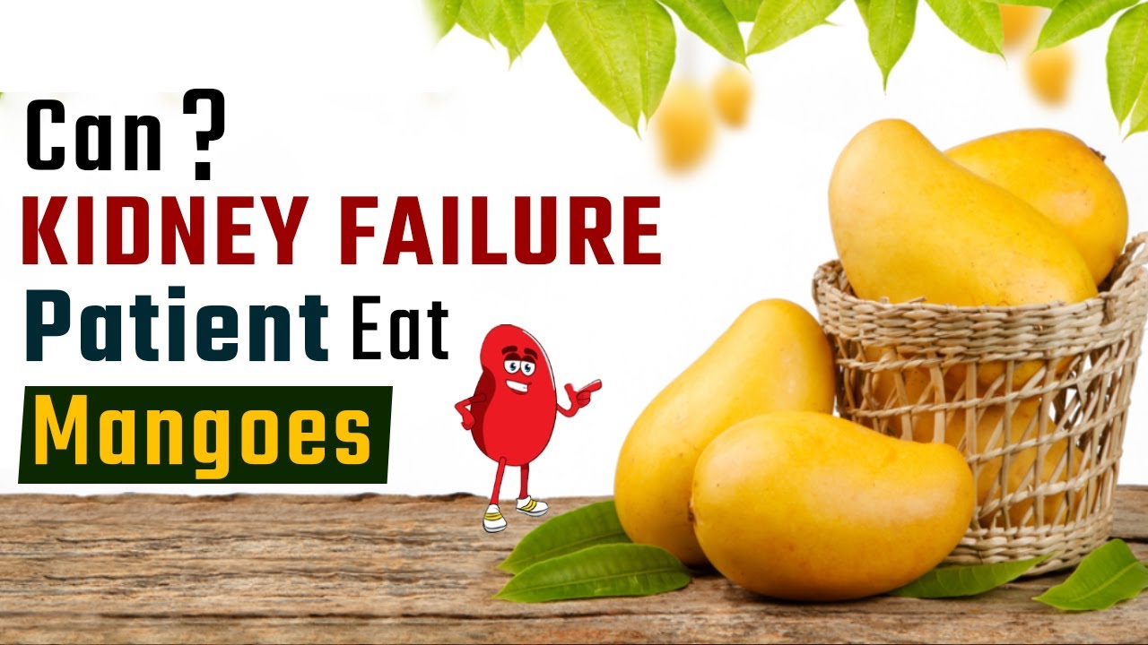 Can Kidney Failure Patient Eat Mangoes? YouTube