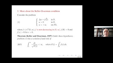 Vicentiu Radulescu: Singular elliptic problems and beyond