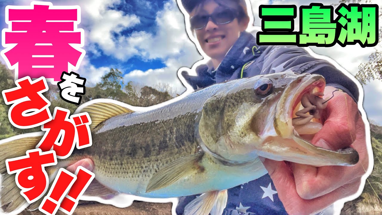 【3月三島湖】早春攻略！サイトで春バスを釣る方法とは？？サイトフィッシング・房総蛙