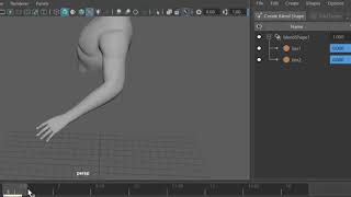 Corrective blendshapes for elbow rotation