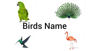 Birds Name For Kids Learn Bird Names In English Preschool Learning