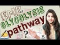Glycolysis pathway  glycolysis biochemistry in hindi  simple way to learn  emp pathway