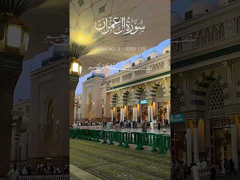 Surah Al Imran Shorts Shortsviral Shortsvideo Shortsfeed Islamicscripture Quran Islam Fyp