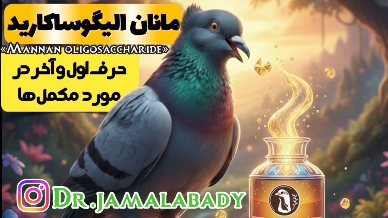 Mannan oligosaccharide