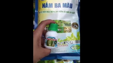 Hướng Dẫn Trừ Rệp Sáp  Hiệu Quả Từ Nấm 3 Màu. Rệp Sáp Gốc, Rệp Sáp Thân Cành Không Tái  Phát.