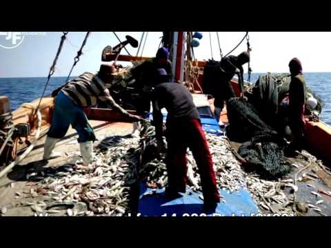 dahsyat-!-mancing-di-tailand-ikannya-besar-di-laut-lepas