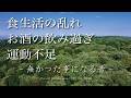 血液、リンパ液を綺麗にしてくれます。【ペットや植物にも。詳しくは概要欄をお読み下さい】