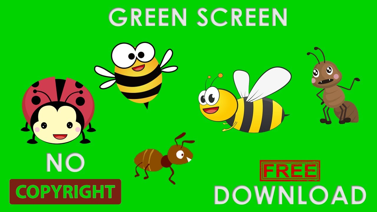 Green Screen Bee, Ant, ladybug I NO COPYRIGHT I NO TEXT I Free Download 