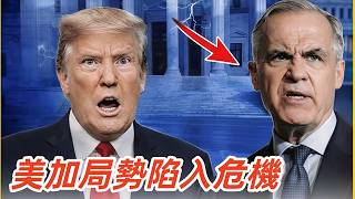 川普向加拿大「宣戰」！卡尼的回應只有幾句話，卻讓全世界倒抽一口氣#特朗普#加拿大#美国#卡尼#北美局势