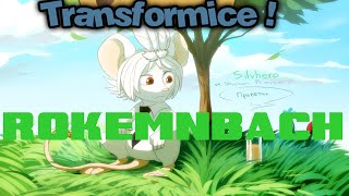TRANSFORMICE -Rokemnbach