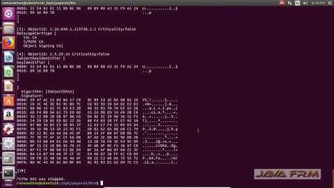 Payara Server 5 Installation on Ubuntu 16.04 LTS | Payara Application Server 5.194