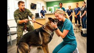 Don't Touch Him, He Bites The Veteran Scoffed—Until The Vet Tech Crouched And His K9 Walked Str...