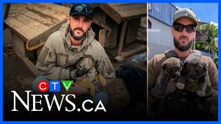 Details Canadian dedicated to rescuing animals killed in drone strike Update
