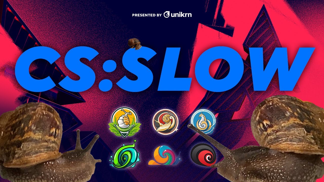 The snail racing you didn't know you needed 🐌 - YouTube