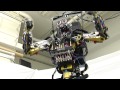 The sarcos robot