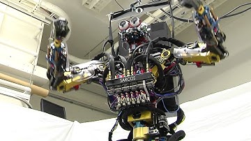 The Sarcos Robot