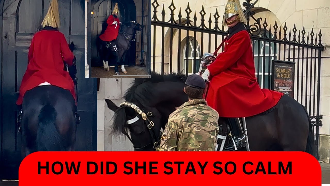 HOW DID SHE STAY SO CALM- KING’S GUARD HORSE SCARY MOMENTS